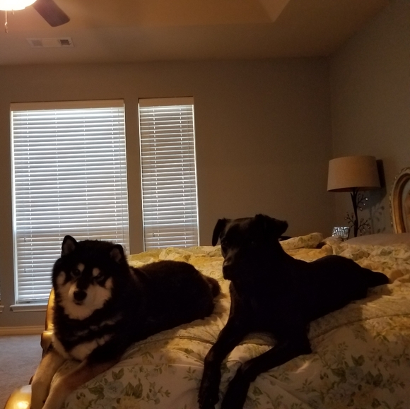 Meet your Posher, Minerva - Picture 2 of 2